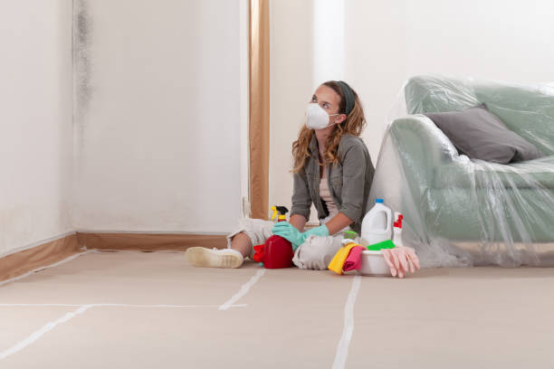 Reliable Black Mold Remediation contractor in Sunnyvale, TX by Mold Remediation HQ